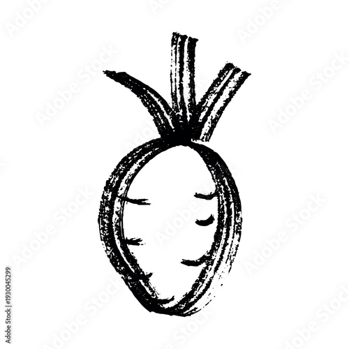 Hand drawn farm daikon radish beet beetroot plant with green leaves Fresh vegetable doodle Healthy eco food Organic garden vegetarian food For design, print, packaging, decor, kids books