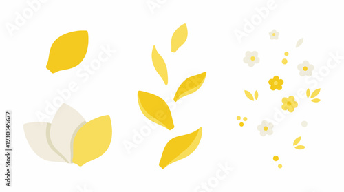 Yellow leaves and petals falling down. Spring Vector Packs. EPS Editable