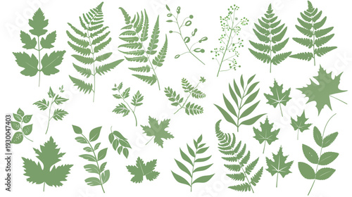 Foliage elements on a white background, minimalist botanical leaf collection with clean natural shapes, flat vector illustration for decorative design and eco concept