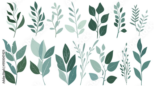 Foliage elements on a white background, minimalist botanical leaf collection with clean natural shapes, flat vector illustration for decorative design and eco concept