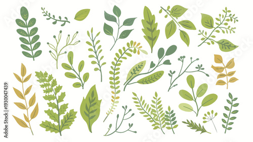 Foliage elements on a white background, minimalist botanical leaf collection with clean natural shapes, flat vector illustration for decorative design and eco concept