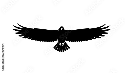 Gliding Eagle Bird Silhouette Minimal Vector Illustration