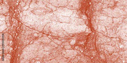 4195maebal Detailed structure of abstract marble black and white(gray).White marble texture for background or tiles floor decorative design.