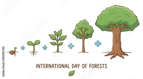 International Day of Forests: celebrating growth from seedling to mature trees, highlighting biodiversity, conservation, and global forest restoration.
