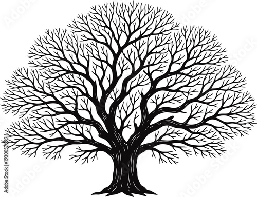 Tree Silhouette Vector Illustration