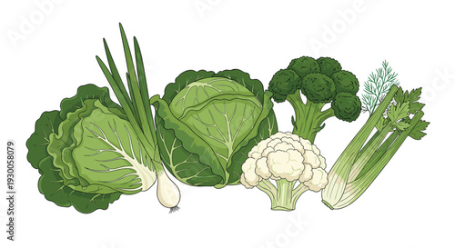 Fresh green vegetable collection including cabbage, green onions, broccoli, cauliflower and celery for healthy cooking and diet themes.