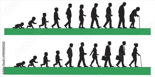 Two Rows Of Silhouettes Showing Human Life Stages From Baby To Elderly evolution growth