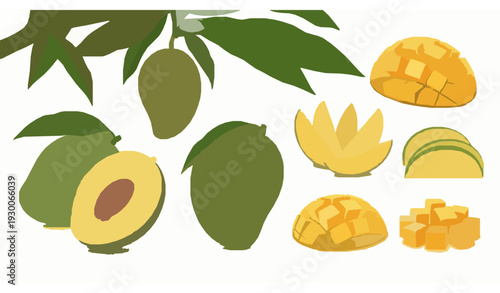 Fresh Raw Mango Fruit Collection with Whole, Halves, Slices, Cubes and Leafy Branch Vector Illustration