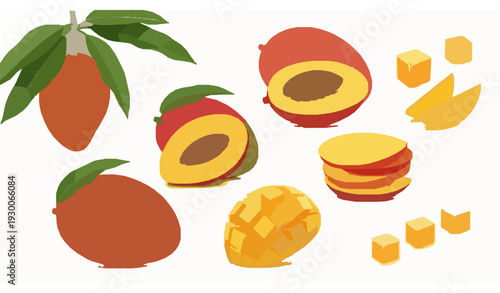 Realistic Mango Fruit Set with Whole Mango, Cut Sections, Cubes and Tree Branch Illustration