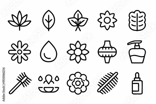 Organic & Natural Beauty