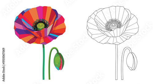 Artistic comparison of a vibrant geometric poppy flower and its corresponding minimalist black and white line art.