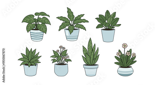 Various green potted houseplants in light blue ceramic pots with different leaf shapes and small white flowers on a white background.