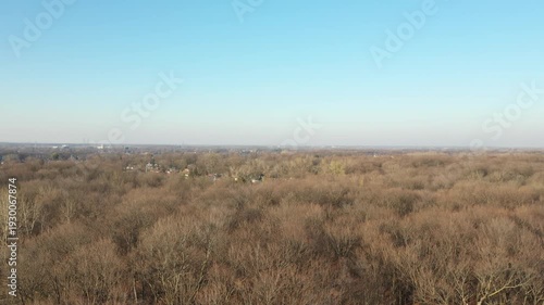 Panning from right to left with a drone over the bare trees in autumn