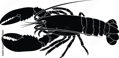 Lobster silhouette artwork, marine crustacean illustration, seafood animal design, detailed black graphic, ocean biology artwork, decorative aquatic