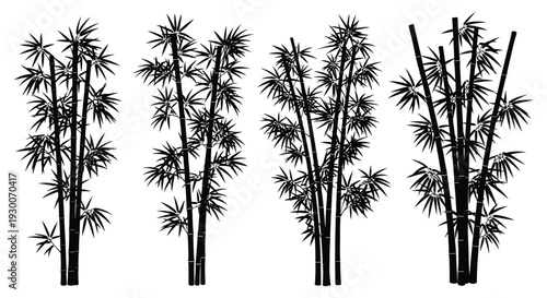 A striking visual of several bamboo stalks against a white background presented in silhouette high quality professional detailed