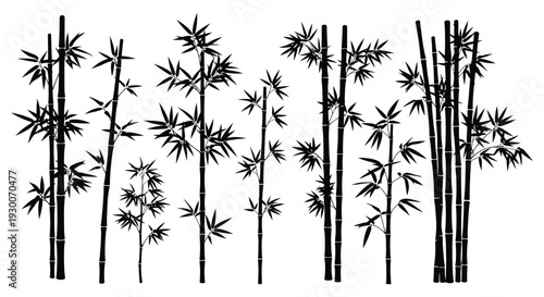 A striking black and white depiction of bamboo stalks and leaves creating a natural silhouette high quality professional