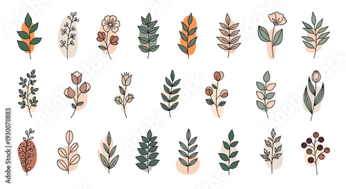 Collection of twenty-four various hand-drawn botanical plant, leaf, and flower illustrations with abstract earth tone color shapes.