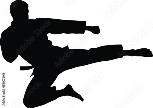Dynamic martial arts silhouette of airborne fighter performing powerful flying kick with extended leg, showcasing agility, strength, precision, discipline