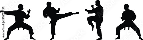 Four martial arts silhouettes in varied stances, including high kick, knee strike, defensive posture, wide stance, showcasing discipline, technique