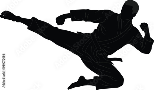 Martial arts silhouette of fighter executing powerful high side kick in traditional uniform, showcasing discipline, strength, agility, balance, precision, technique