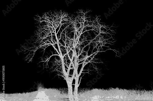 ghostly tree