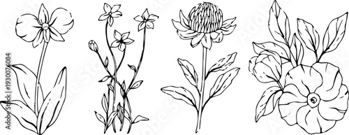 Seamless vintage floral pattern with roses, leaves and garden plants in black sketch style