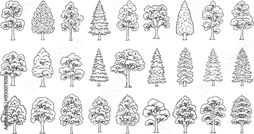 Tree Line Art Collection: Diverse Botanical Sketches