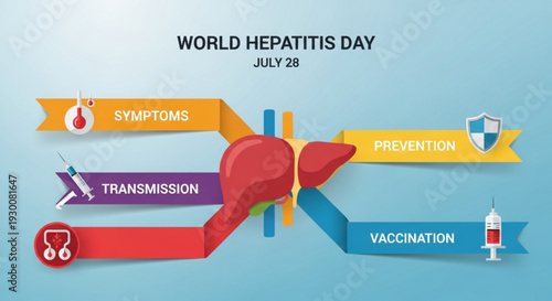 World hepatitis day infographic with liver symptoms transmission prevention and vaccination