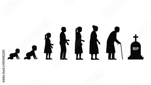 A series of human silhouettes from birth to death isolated on white background, Vector