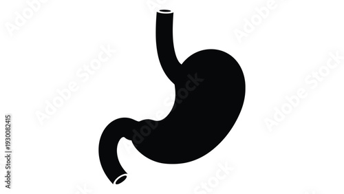 A black and white illustration of a human stomach isolated on white background, Vector