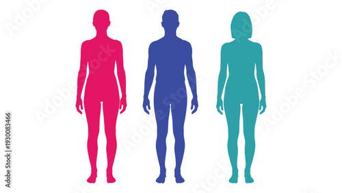 Three colored human silhouettes standing side by side isolated on white background, Vector