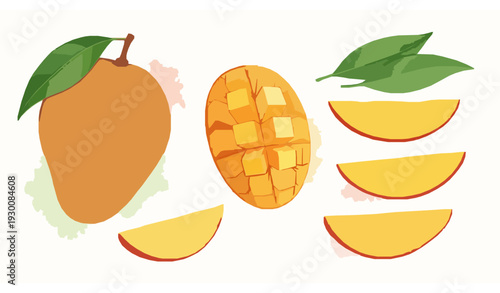 Watercolor Mango Vector Set with Whole Fruit, Slices, Green Leaves and Artistic Paint Splashes