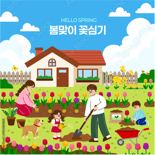 Happy family gardening together in front of their house in spring, parents and children planting tulips in the backyard, home gardening lifestyle vector illustration(korean:Planting Spring Flowers)