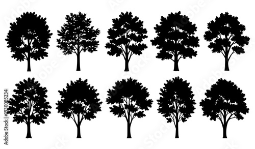 Leafy deciduous forest tree silhouettes vector collection