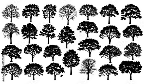 Various deciduous trees black silhouette vector set isolated on white