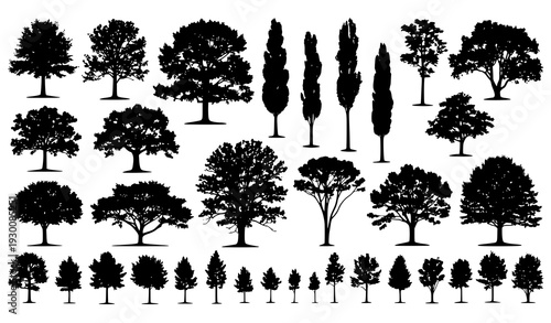 Landscape deciduous tree silhouettes big vector icon set