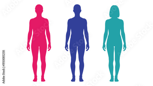 Three colorful human silhouettes standing side by side isolated on white background, Vector