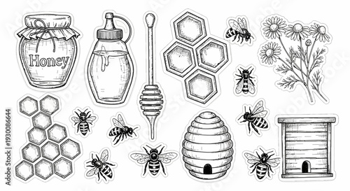 Vintage honey bee collection hand drawn illustrations of bees and honeycombs