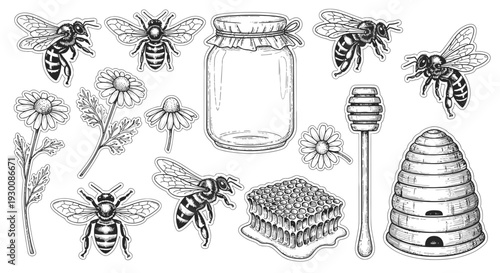 Vintage illustration of bees honey jar comb flowers and beehive elements