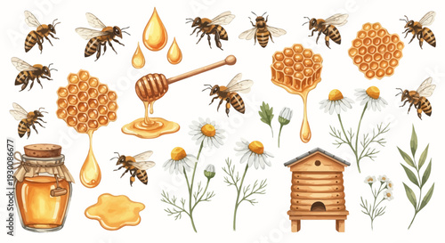 Watercolor bee and honey elements for design and illustration