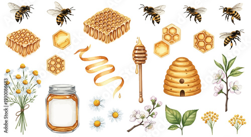 Watercolor bee and honey elements for design and decoration