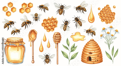 Watercolor bee and honey elements illustration for design and decoration