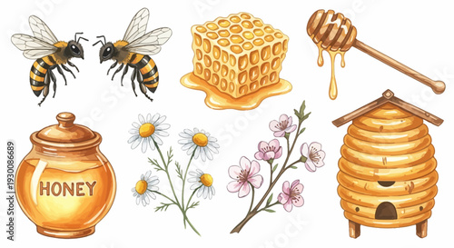 Watercolor bee and honey elements illustration for design and decoration