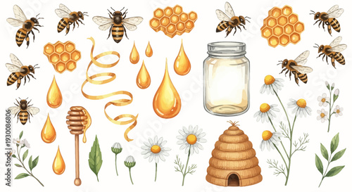 Watercolor bee and honey elements set for design projects and illustrations