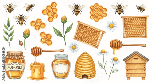 Watercolor bee and honey elements set for design projects and illustrations