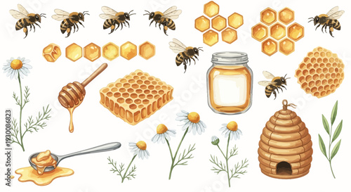 Watercolor bee and honey elements set for design projects and illustrations