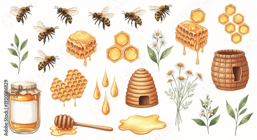 Watercolor bee and honey elements set for design projects and illustrations
