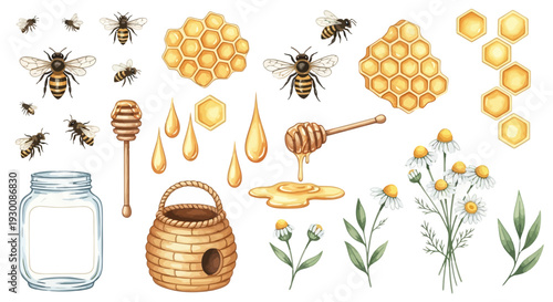 Watercolor bee and honey elements set for design projects and illustrations