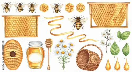Watercolor bee and honey elements set for design projects and illustrations