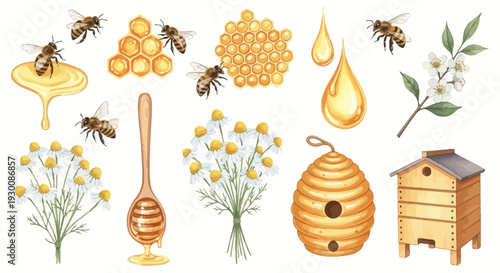 Watercolor bee and honey elements set for natural and organic product design